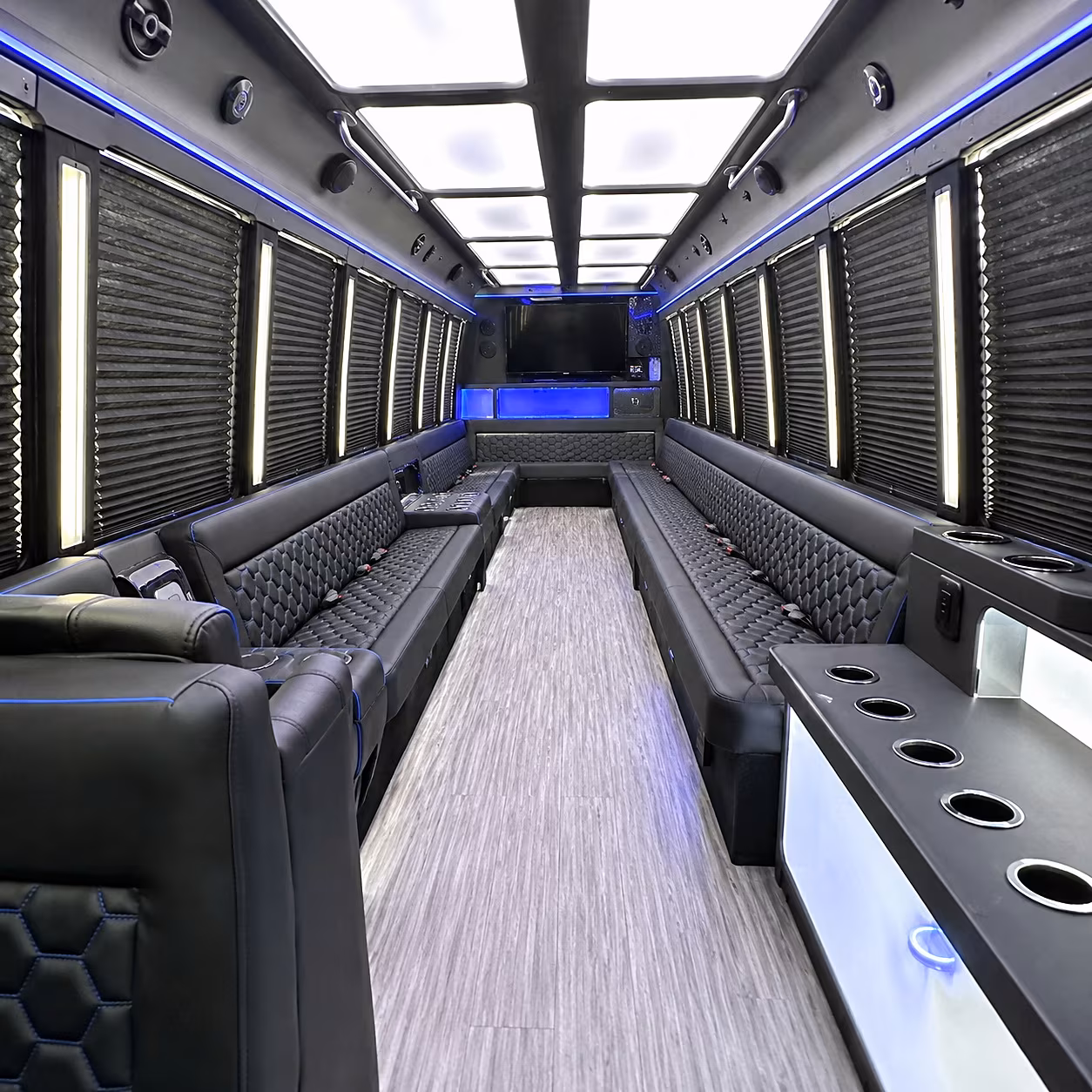 birthday party bus rental